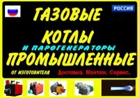 Паровые котлы газовые